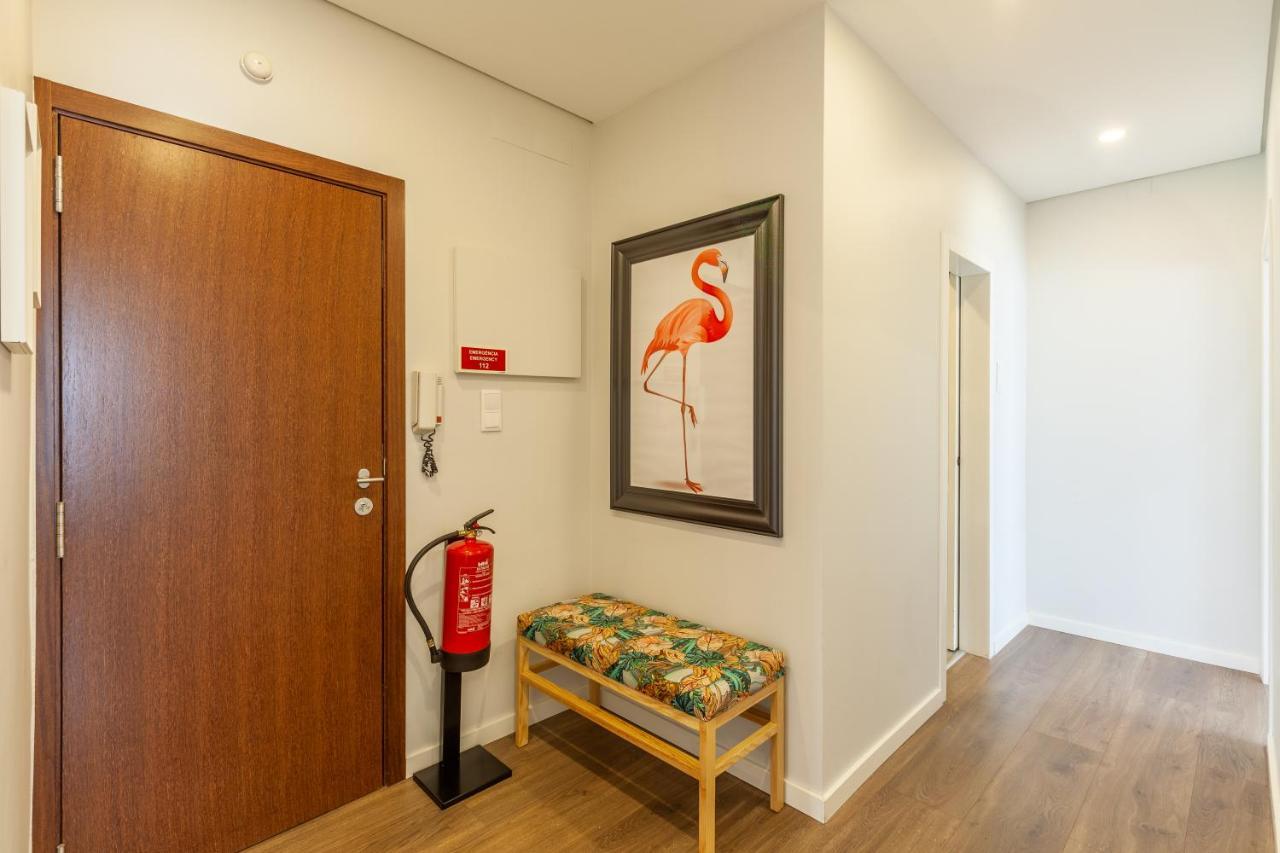 Flamingo Apartment In City Center - Minho'S Guest Braga Eksteriør bilde